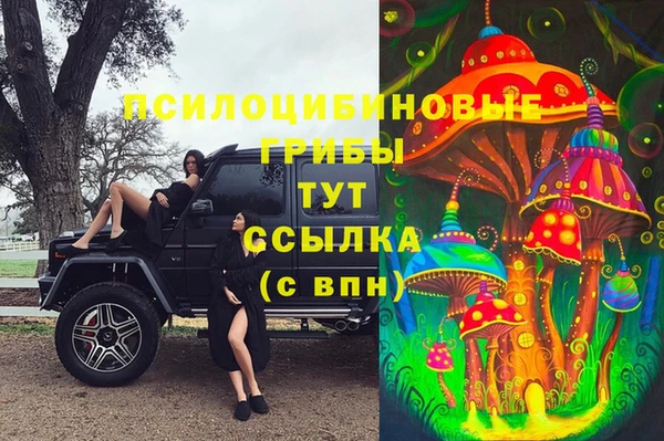 дурь Братск