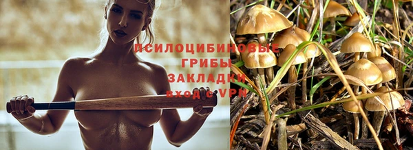 дурь Братск