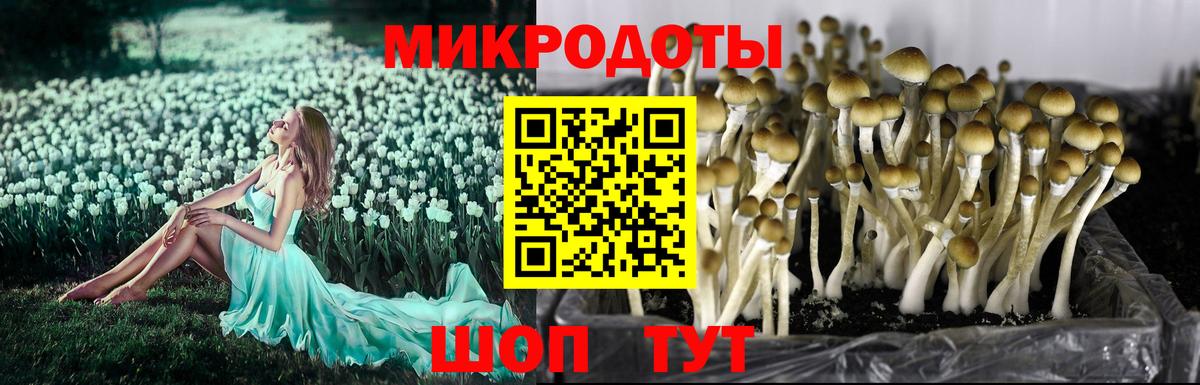 Галлюциногенные грибы MAGIC MUSHROOMS  Аксай 